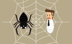 依存の背後に潜む蜘蛛の巣！これに気づき出した人は成長の一歩！重度の薬物依存や１日３箱１７年吸ったタバコもやめれた理由