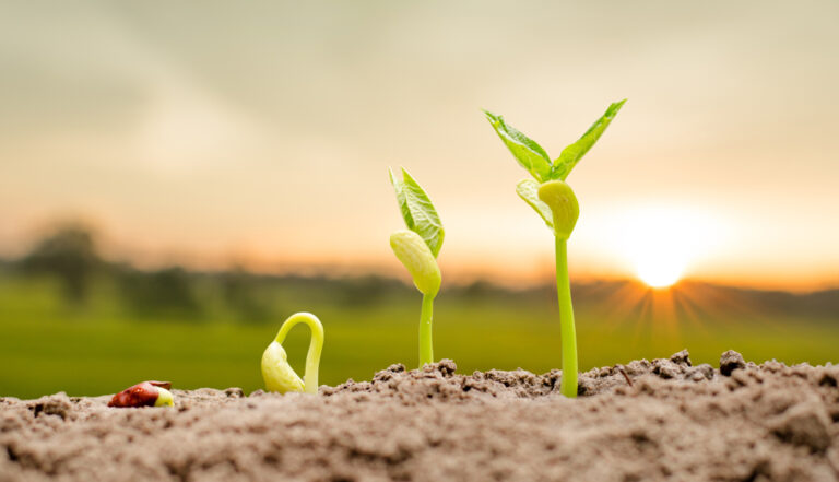 心が病んでいる人は、何でも良いので力をつける生活を始めましょう！詐欺師風情に騙されているようでは話にならない！