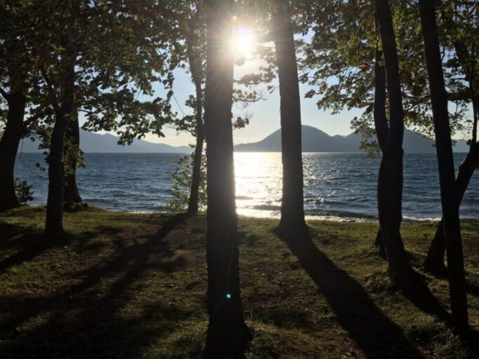 自己憐憫から脱出するためにトラウマを癒す