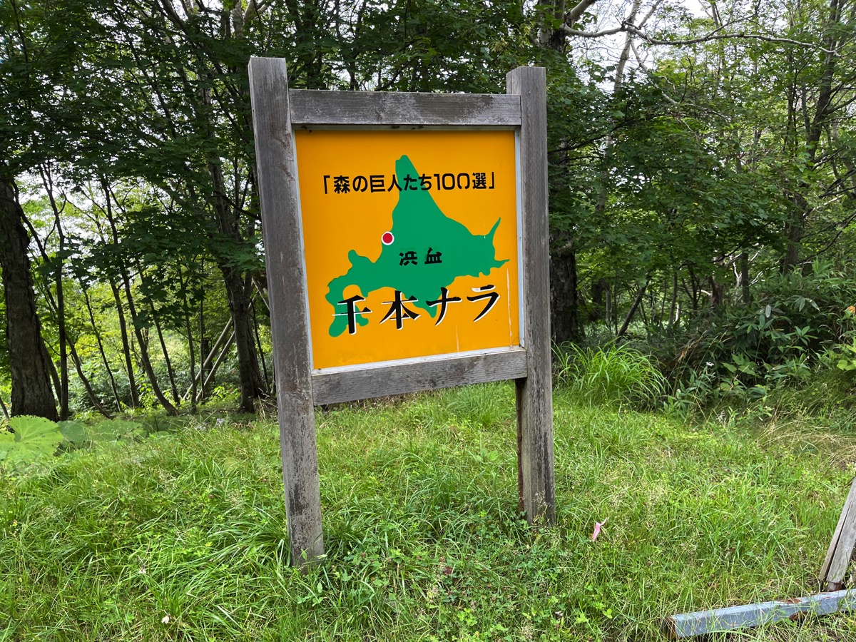 北海道石狩市浜益区のパワースポット『千本ナラ』