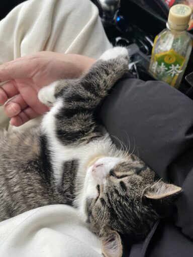 人は「自分が大切にしているもの」を大切にされると、心の奥からうれしくなる