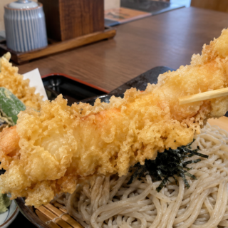 横浜・権太坂「そば処名古屋 権太坂店」の巨大な海老天が忘れられない――同じくらいの大きさを探したら、頭なし約18〜20cmの天然シータイガーを通販で見つけた